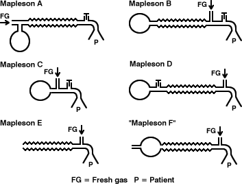 Mapleson A Circuit